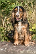 comp_IMG_7791-1
