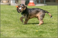 comp_IMG_9068-1