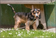 comp_IMG_9112-1