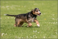 comp_IMG_9358-1