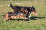 comp_IMG_9030-2