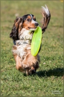 comp_IMG_9045-2