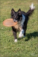 comp_IMG_9053-1