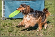comp_IMG_9061-1