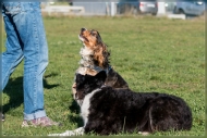 comp_IMG_9082-2