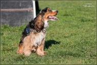 comp_IMG_9084-2