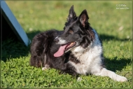 comp_IMG_9111-1