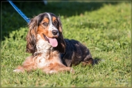 comp_IMG_9118-1