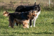 comp_IMG_9142-1