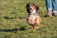 comp_IMG_9190-1