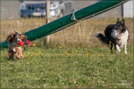 comp_IMG_9197-1