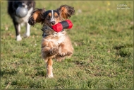comp_IMG_9207-1
