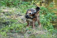 comp_IMG_6758-1