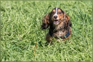 comp_IMG_6807-1