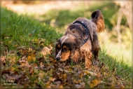 comp_IMG_7973-1