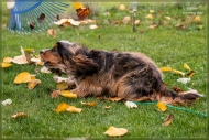 comp_IMG_8024-1