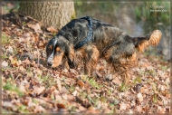 comp_IMG_9840-1