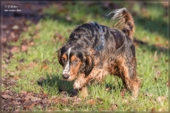 comp_IMG_9897-1