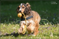 comp_IMG_1931-1
