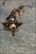 comp_IMG_2854-1