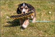 comp_IMG_6843-1