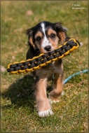 comp_IMG_6845-1