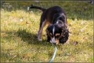 comp_IMG_6848-1
