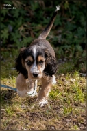 comp_IMG_6852-1