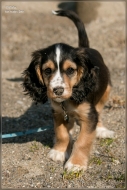 comp_IMG_6862-1