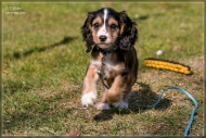 comp_IMG_6873-1
