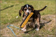 comp_IMG_6881-1
