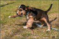 comp_IMG_6907-1