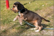 comp_IMG_6913-1