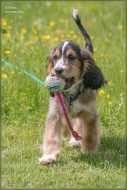 comp_IMG_9664-1