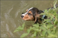 comp_IMG_9682-1