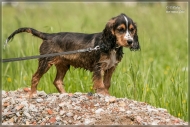 comp_IMG_9713-1
