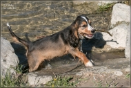 comp_IMG_8143-1