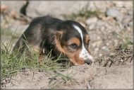 comp_IMG_8184-1