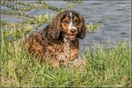 comp_IMG_2033-1