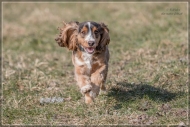 comp_IMG_9578-1