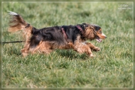 comp_IMG_1477-1