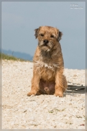 comp_IMG_1558-3