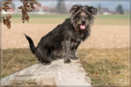comp_IMG_1562-1