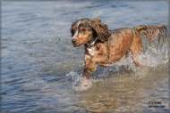 comp_IMG_6807-1