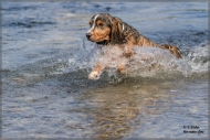 comp_IMG_6815-1
