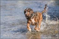 comp_IMG_7022-1