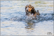 comp_IMG_7025-1