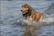 comp_IMG_7046-1