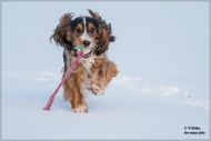 comp_IMG_1230-1