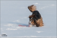 comp_IMG_1248-1
